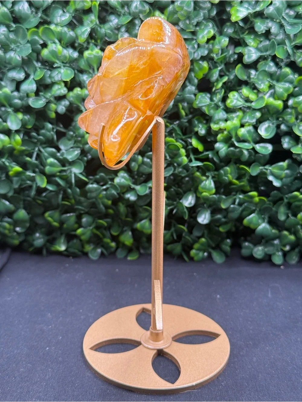Beautiful Golden Healer Flower on Stand